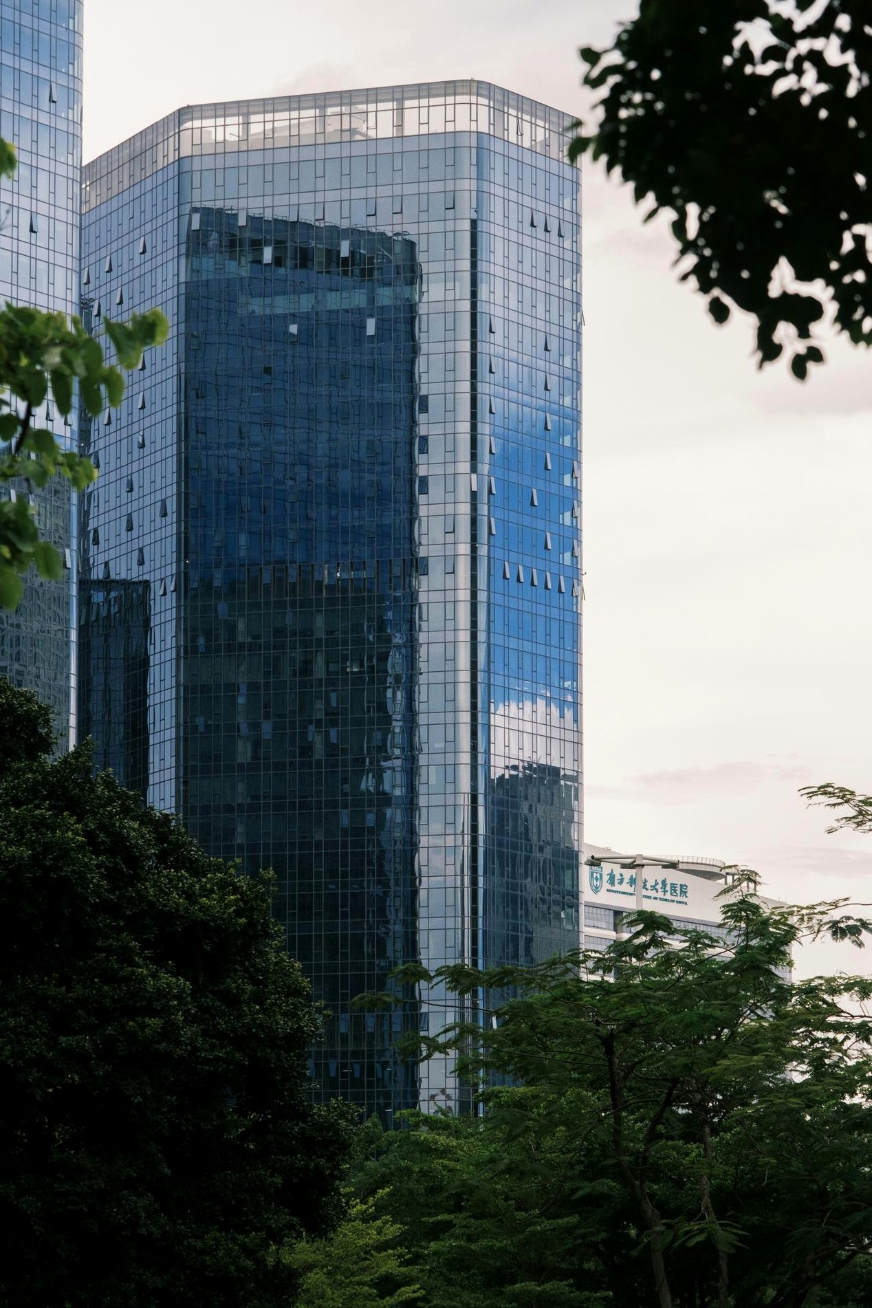 Materiales y aula virtual